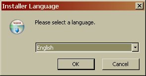 choose language