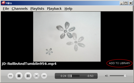 miro_add2library